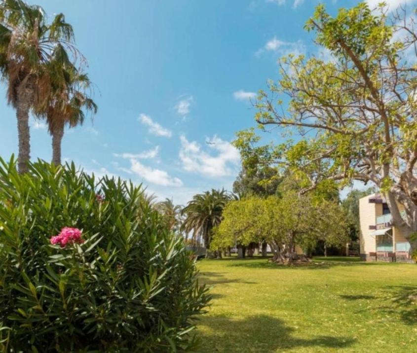 Galeria De Arte. Apartment Arona  Bagian luar foto